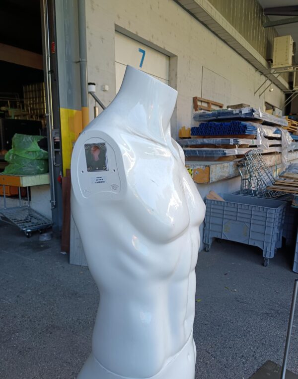 Male Busts – Used - Image 3