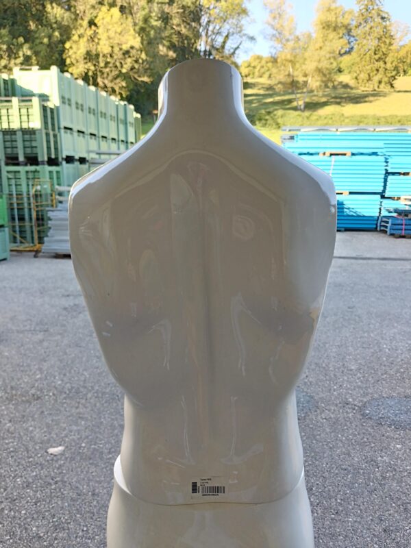 Male Busts – Used - Image 2